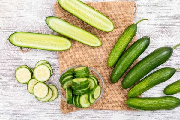 تصویر 4 از قیمت خیار سبز یزدی + خرید باور نکردنی